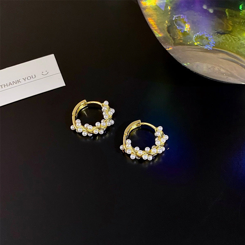 Pearl Earrings Autumn And Winter Special-interest Design