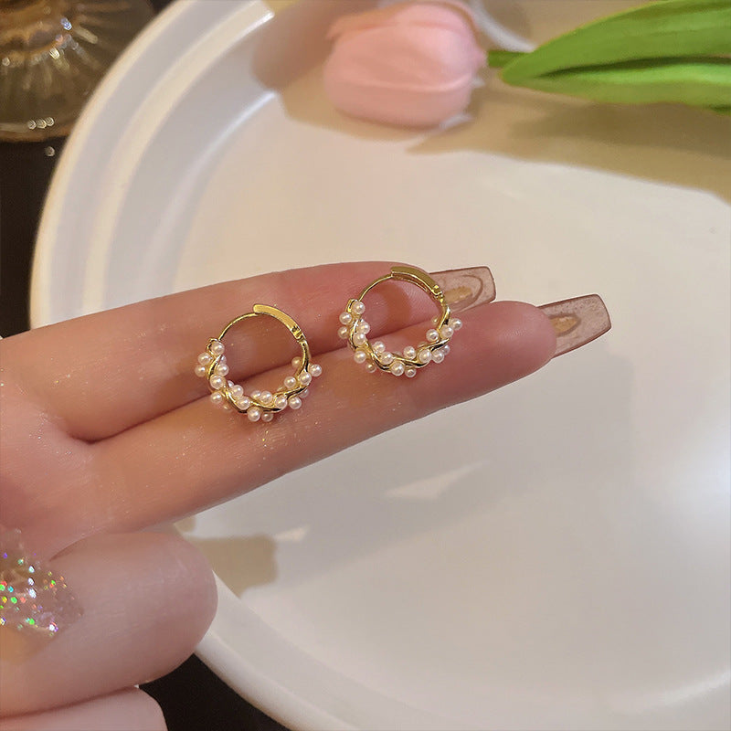 Pearl Earrings Autumn And Winter Special-interest Design